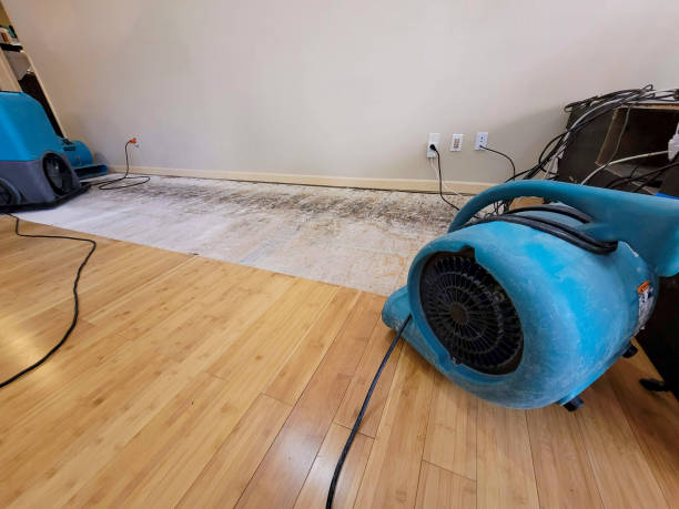 Professional Basement Flood Cleanup technician working in Springdale, UT